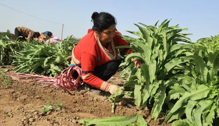 屏幕截图 2025-10-20 202447.png