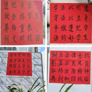 鲁史镇永新中心学校：以“法”为教，以章“治”校