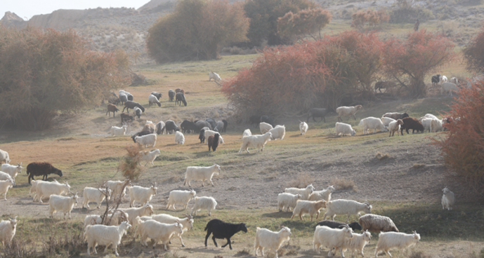 屏幕截图 2025-10-22 195838.png