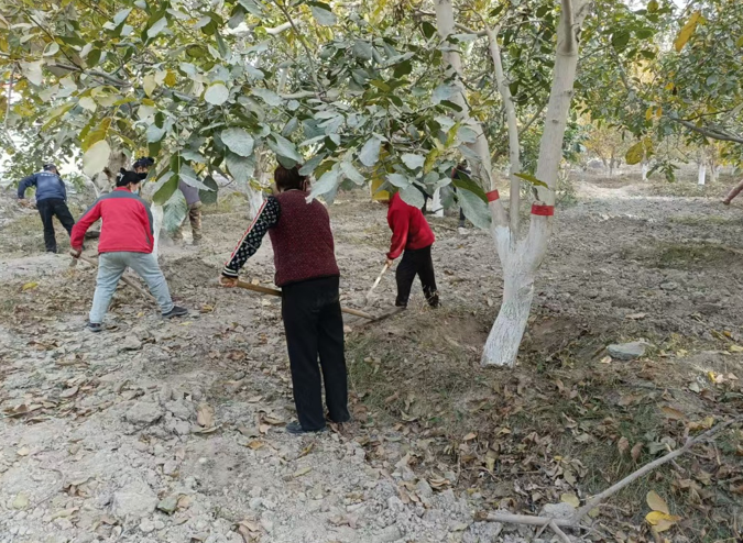 10221761135462668092.png 屏幕截图 2025-10-22 201704.png