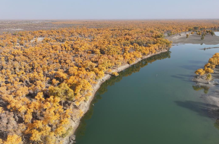 10261761480699619163.png 屏幕截图 2025-10-26 201108.png