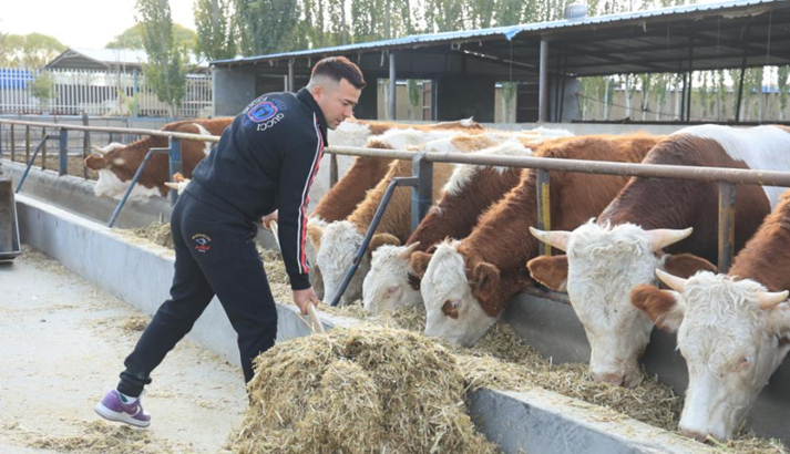 10261761481305289975.png 屏幕截图 2025-10-26 201953.png