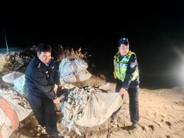 央塔夏协海尔警务室民警帮助农户将拾起来的棉花整理装车，摄影胡兴涛.jpg