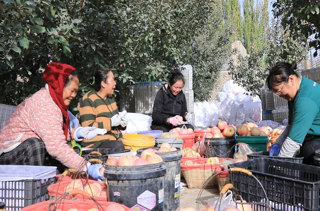 屏幕截图 2025-10-27 221254.png