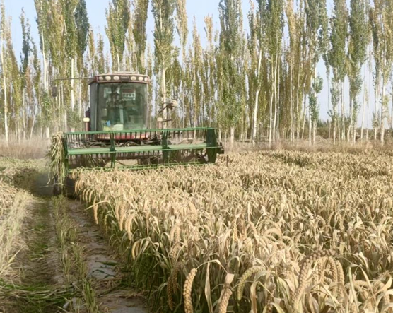 屏幕截图 2025-10-28 195816.png