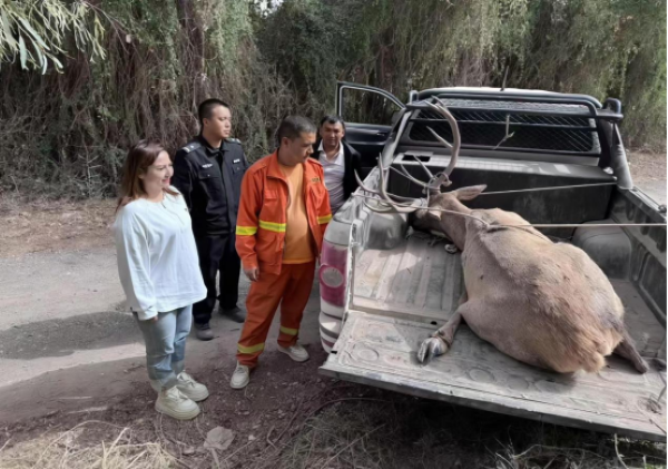 10281761654431920462.png 1efe3715de8d73705a9cd2223a2d1237.png