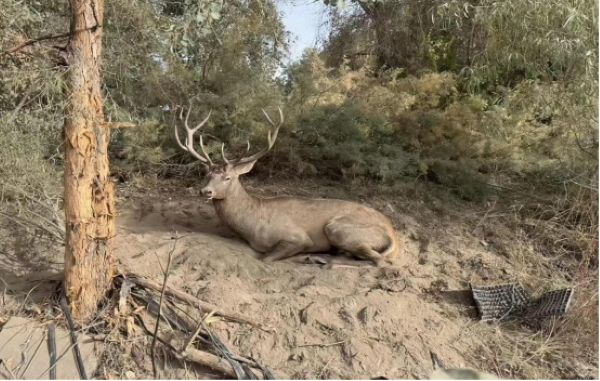 10281761654439742549.png 4da248078bfafcb6f9841c61999a4f81.png