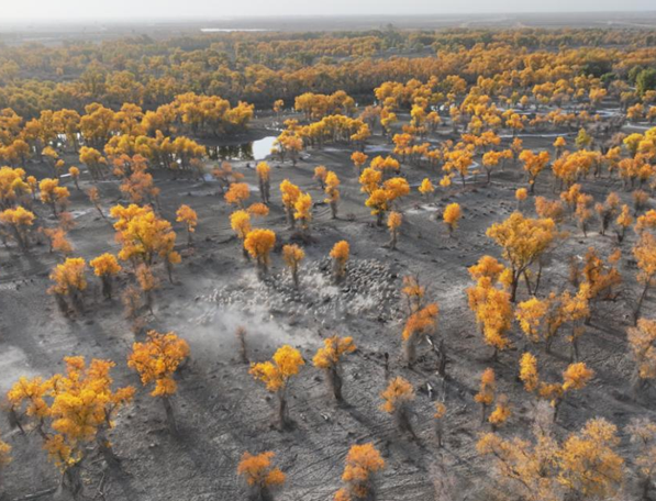 屏幕截图 2025-10-29 202116.png