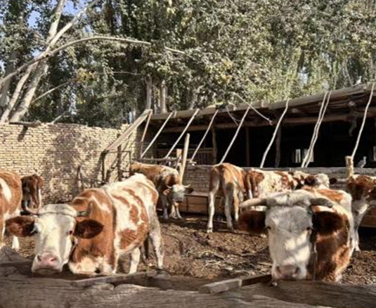 屏幕截图 2025-10-30 193941.png