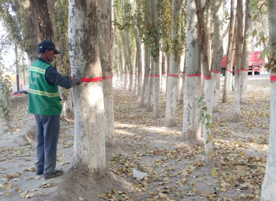 屏幕截图 2025-10-31 192408.png