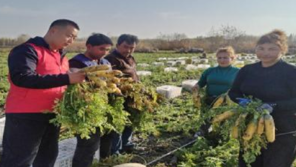 屏幕截图 2025-11-03 191226.png