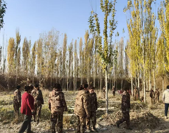 屏幕截图 2025-11-04 161908.png