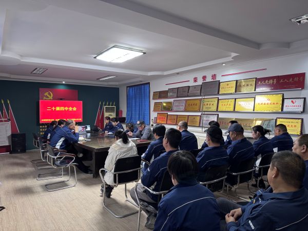 11041762247354527951.jpg 天筑白杨预拌砼、水泥制品、重力公司联合党支部深入学习贯彻党的二十届四中全会精神.jpg