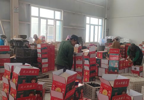 屏幕截图 2025-11-04 171328.png