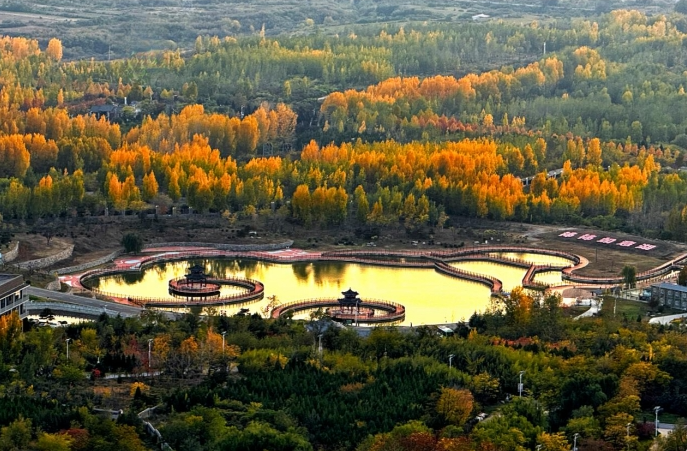 11051762334693651462.png screenshot-1762334392559.png