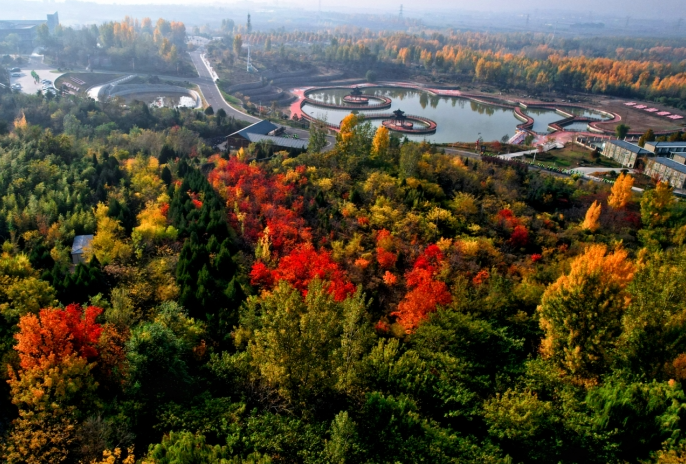 11051762334805744627.png screenshot-1762334420406.png