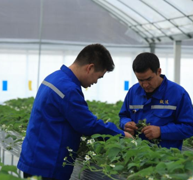 屏幕截图 2025-11-05 202411.png