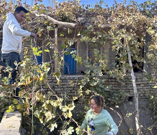 屏幕截图 2025-11-07 184645.png