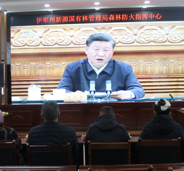 11071762516352754820.png 屏幕截图 2025-11-07 195116.png