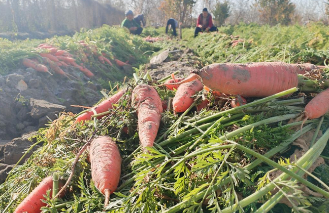 屏幕截图 2025-11-11 193729.png