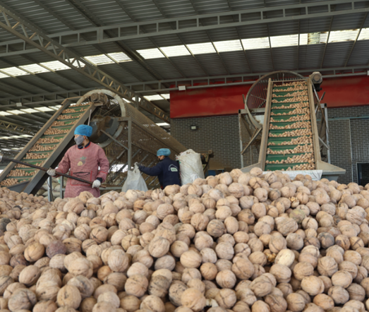 屏幕截图 2025-11-12 190430.png