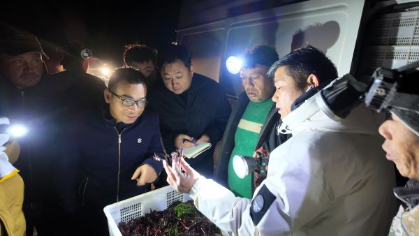 11171763380078647236.jpg DJI_20251115014838_0566_D.JPG