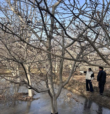 11191763550147875065.png 屏幕截图 2025-11-19 185331.png