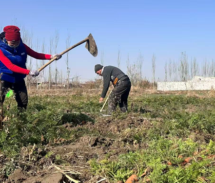 11191763550256115587.png 屏幕截图 2025-11-19 185334.png