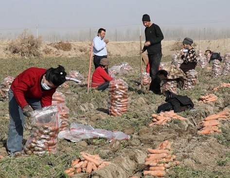 屏幕截图 2025-11-21 183644.png