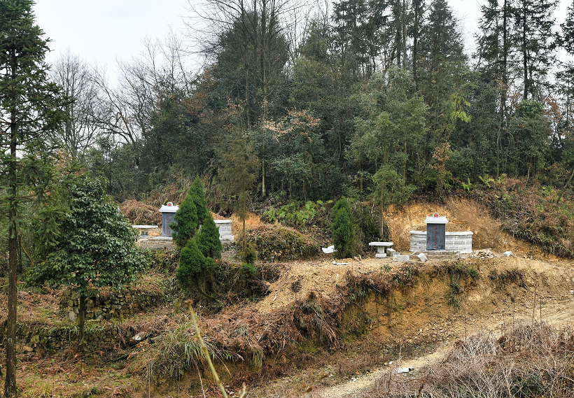 11261764155512624825.png 2019年底启动修缮的红军烈士合葬墓(廖尚刚 摄).png