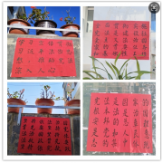 鲁史镇永新中心学校：校园普法，“宪”在出发