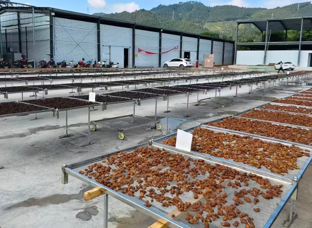 屏幕截图 2025-12-08 182933.png