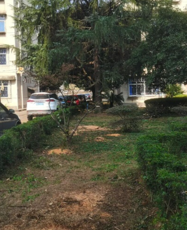 屏幕截图 2025-12-11 183810.png