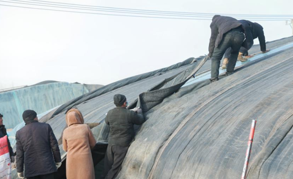 12121765538585881738.png 屏幕截图 2025-12-12 191943.png