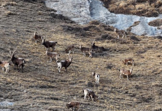 12151765796994642175.png 屏幕截图 2025-12-15 185654.png