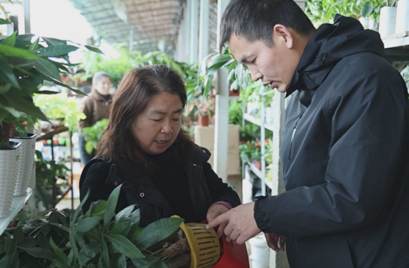 屏幕截图 2025-12-26 191126.png