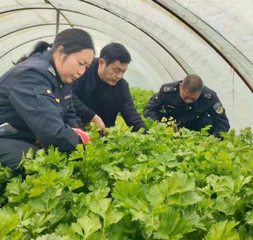 屏幕截图 2025-12-30 175923.png