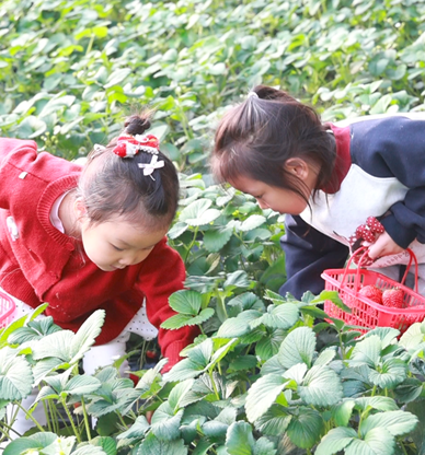 12301767092199360709.png 屏幕截图 2025-12-30 184251.png