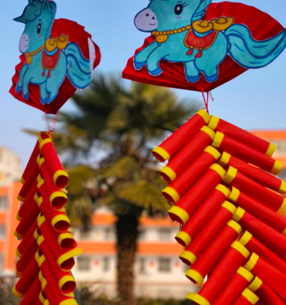 12311767172749320853.png 屏幕截图 2025-12-31 171859.png