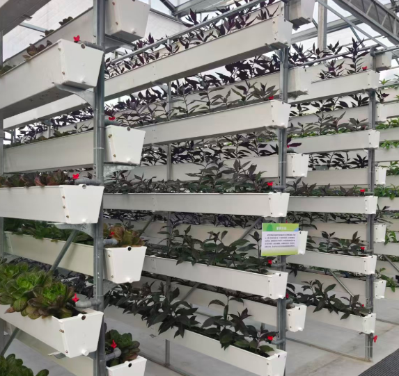 屏幕截图 2026-01-04 172942.png