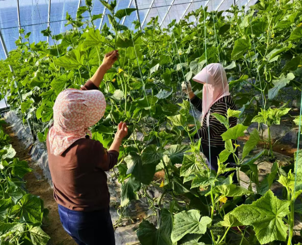 屏幕截图 2026-01-04 172946.png