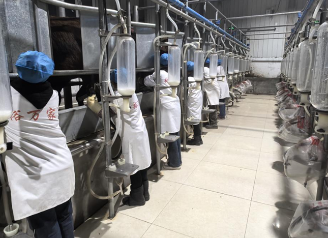 屏幕截图 2026-01-08 182642.png