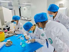 暖心突破！第一师医院“鼠胚实验”传喜讯，家门口的试管婴儿有盼头了