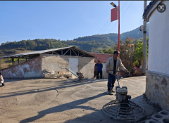 路通产业兴 菠萝村蹚出乡村振兴新路径