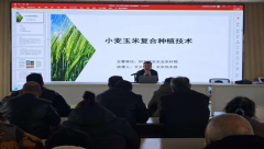 春耕备耕忙 培训促增产——阿瓦提县农业农村局开展农业技术下乡培训活动