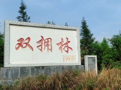 从江县：“四项活动”绘就军政军民同心新画卷