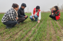 阿克苏市：抢抓农时备春耕 不负春光不误农