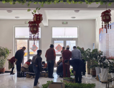 情系群众助春耕 蔬菜种苗暖民心