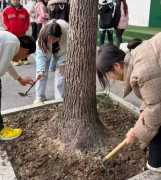 巧手育新苗 匠心扮校园——枣阳市第二职业高级中学开展种花育苗美化校园活动