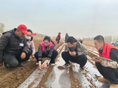 党建引领促生产 五团十五连春耕春播全面启动